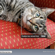 Image for article titled iPhoto '09: The Definitive Review and Tip Sheet